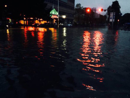 ���ڱ���