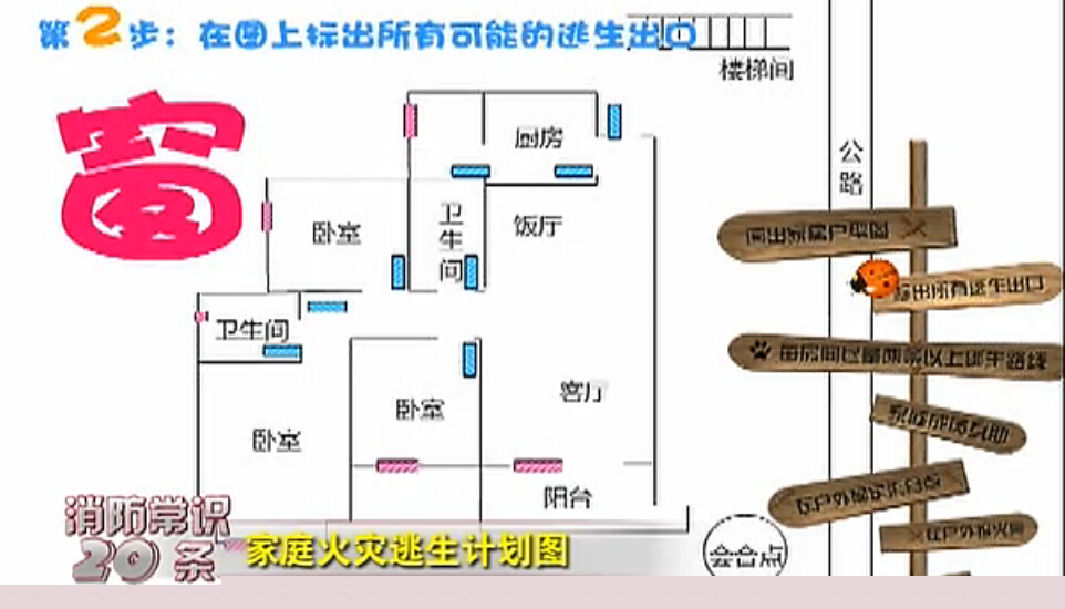 �˳���������