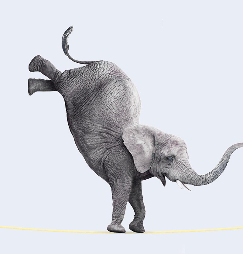 ���]�K�S��