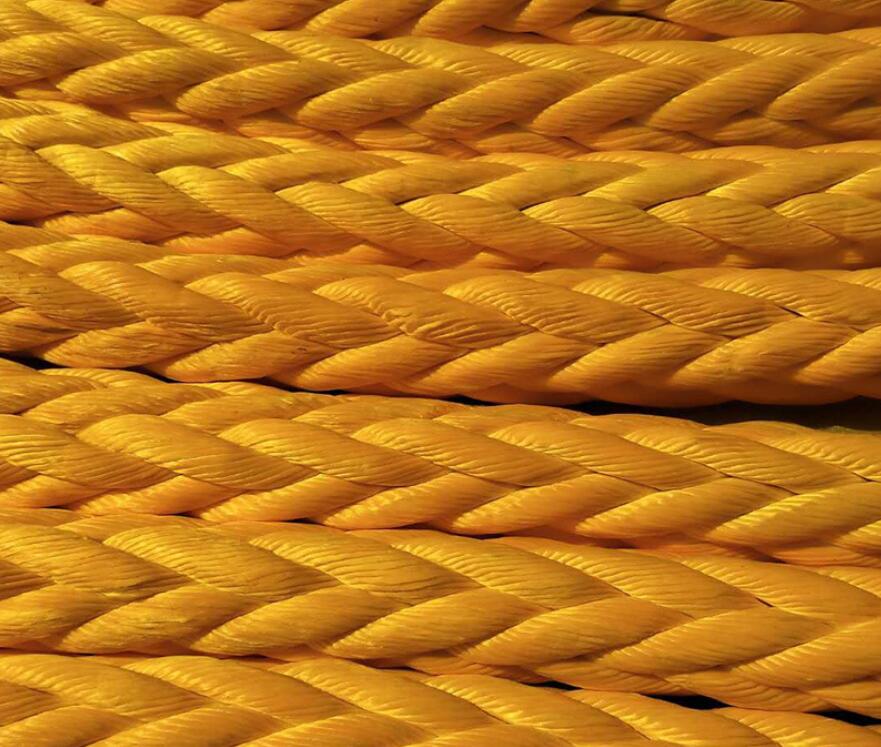 �g�P�K ���߷��Ӿ���ϩ�K ����ߏ��������K�|