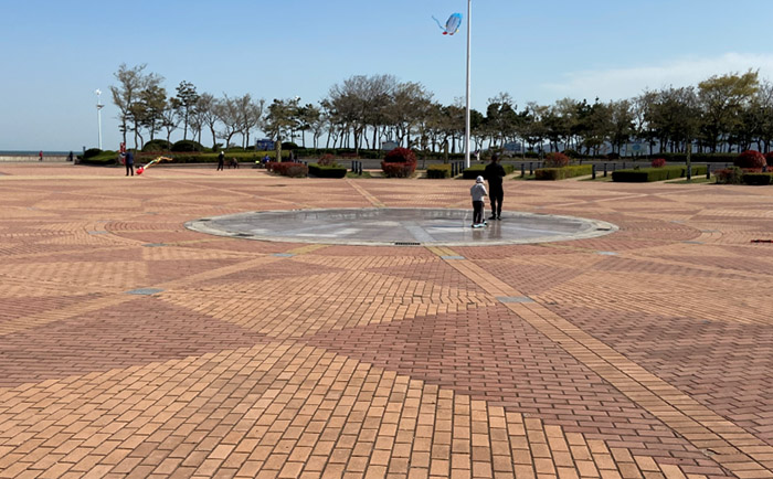 ����(y��ng)�����y���������O(sh��)ʩ��ͣ�C(j��)ƺ