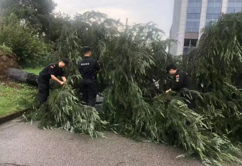 C:/Users/BA/Desktop/風(fēng)雨過后南京保安迅速行動，恢復(fù)安“寧”面貌/1.jpg1
